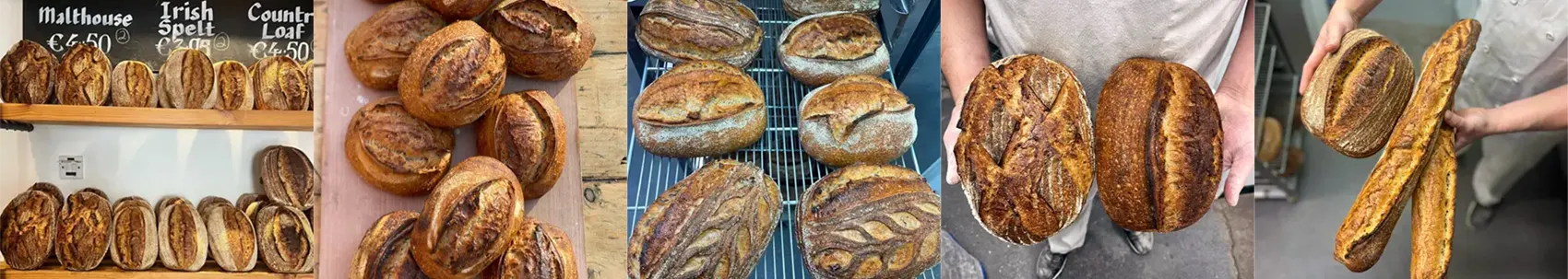 image of sourdough bread 